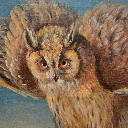 Suiveur De Jean Jacques Bachelier (1724-1806), Le Hibou Et Sa Proie, Huile