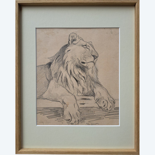 Eugène-antoine Borga (1885-1964), étude De Lion