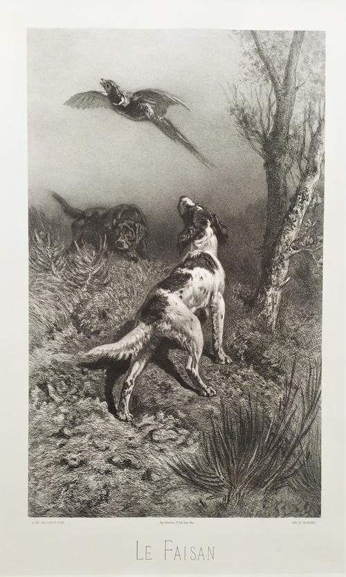 Hunting Dogs And Pheasant 19th Century Lithograph Old Print