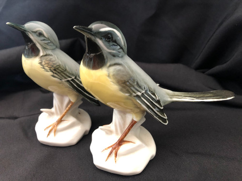 Couple d'oiseaux en porcelaine de Saxe par Karl Ens fin XIX siècle 