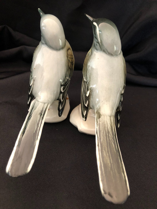 Couple d'oiseaux en porcelaine de Saxe par Karl Ens fin XIX siècle 