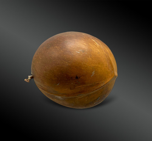 POWDER PEAR - Popular work - Around 1900