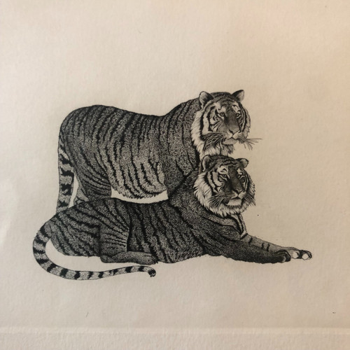 Lithografie Tiger