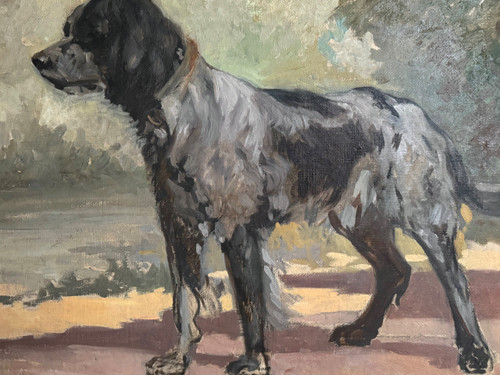 Pittura di cane, ritratto di cane