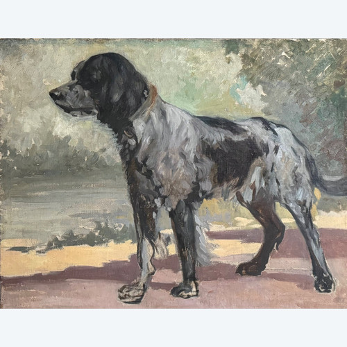 Pittura di cane, ritratto di cane