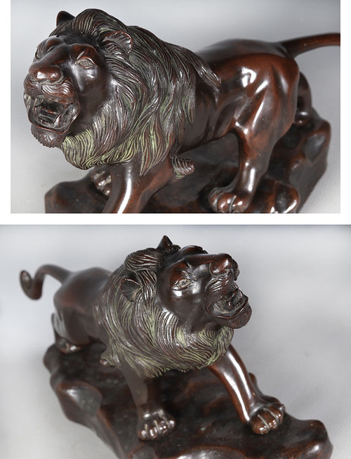 Bronze Japonais, Lion, de la fin du XIX ème