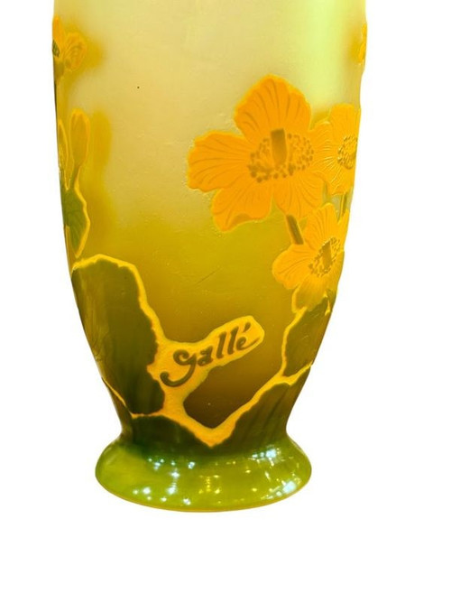 Vaso Emile Gallé Art Nouveau "Renoncules des Prés