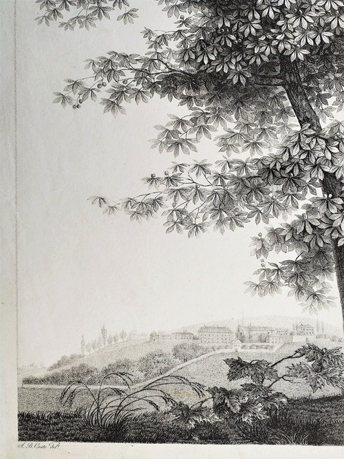 Landscape Study The Tree Empire Period Etching 19th C Old Print