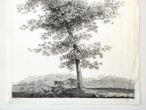 Landscape Study The Tree Empire Period Etching 19th C Old Print