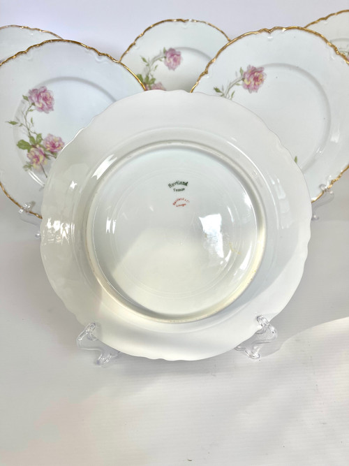 Set mit 6 Haviland Limoges Speisetellern „Baltimore Rose“.