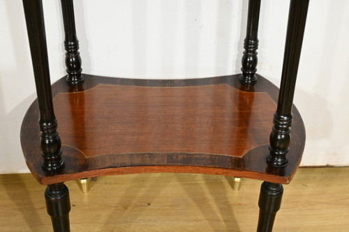 Double-Top Flying Table in Mahogany and Blackened Pear Wood, Napoleon III Style – 1930