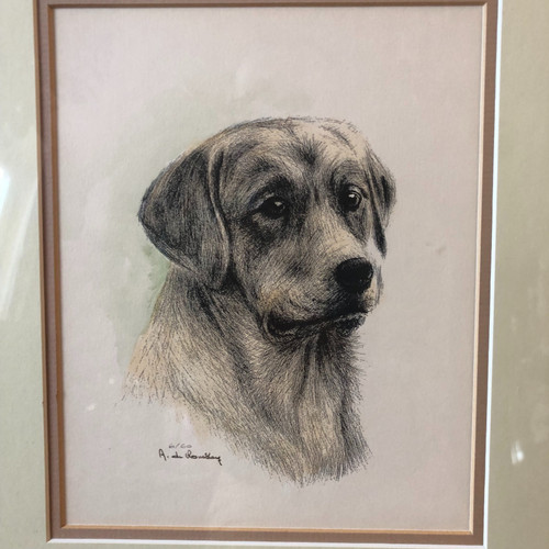 A. de Romblay, portrait de chien