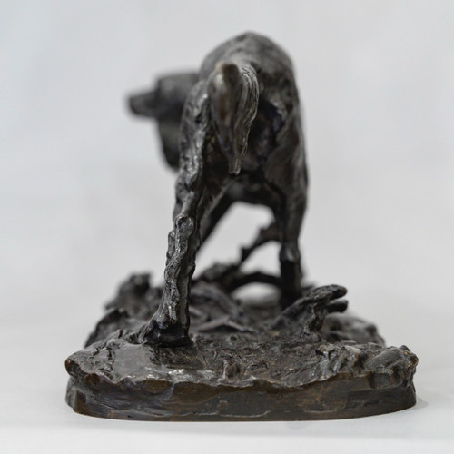 Scultura - Cane da caccia Setter , Pierre- Jules Mêne (1810-1879) - Bronzo