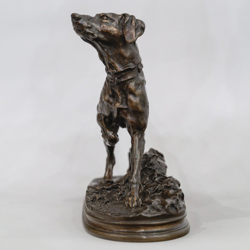 Skulptur - Brackenhund Marly , Stein - Jules Mêne (1810-1879) - Bronze