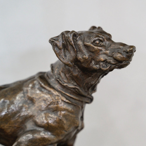 Skulptur - Brackenhund Marly , Stein - Jules Mêne (1810-1879) - Bronze