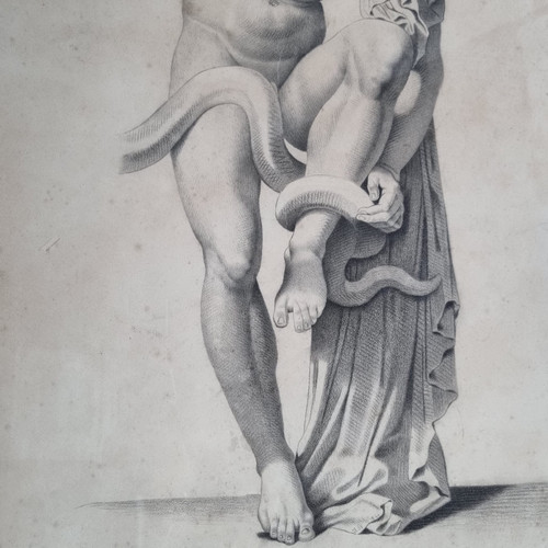 Laocoon, Large graphite drawing, 19th century.