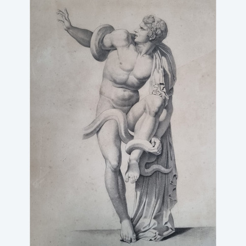 Laocoon, Large graphite drawing, 19th century.