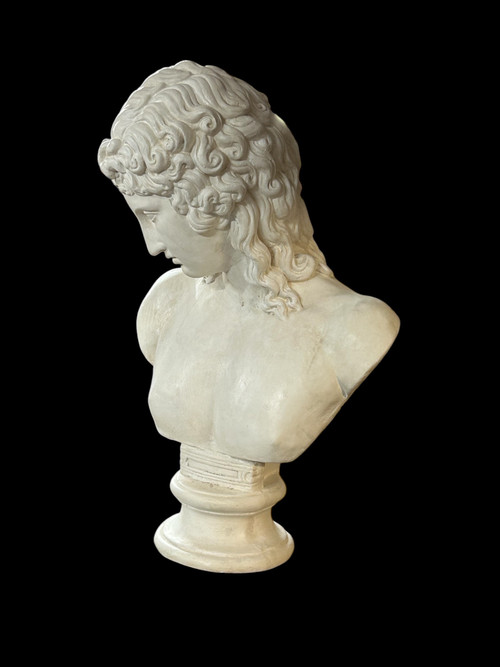 Buste En Plâtre éros De Centocelle Ou Amour De Praxitèle époque XXéme Siècle H 62 Cm