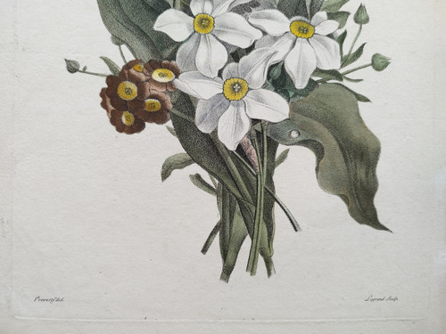 Flowers Tulips Narcissus Antique Engraving Watercolor 18th C Etching Old Print