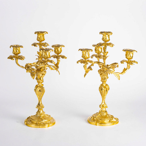 Henri Vian (1860-1905) - Coppia di candelabri in stile Luigi XV in bronzo cesellato e dorato, 1890 ca.