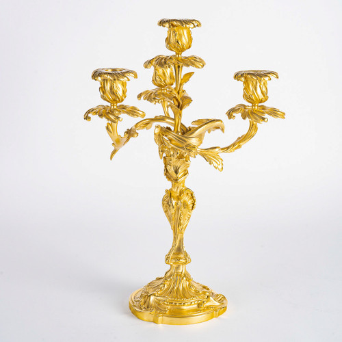 Henri Vian (1860-1905) - Coppia di candelabri in stile Luigi XV in bronzo cesellato e dorato, 1890 ca.