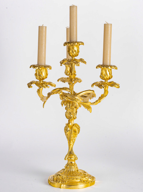 Henri Vian (1860-1905) - Coppia di candelabri in stile Luigi XV in bronzo cesellato e dorato, 1890 ca.