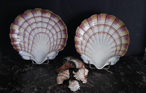 Pair of scallop shell dishes 18th century