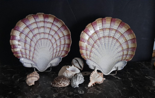 Pair of scallop shell dishes 18th century