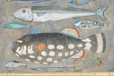 Painted canvas depicting a fish plank. Contemporary work.LS6027911A