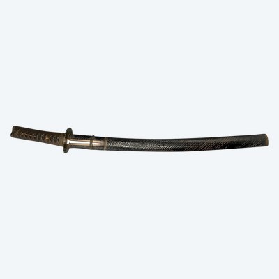 Spada corta giapponese, wakizashi con drago, firmata, con Koshirae Soriomono Giappone, periodo Edo