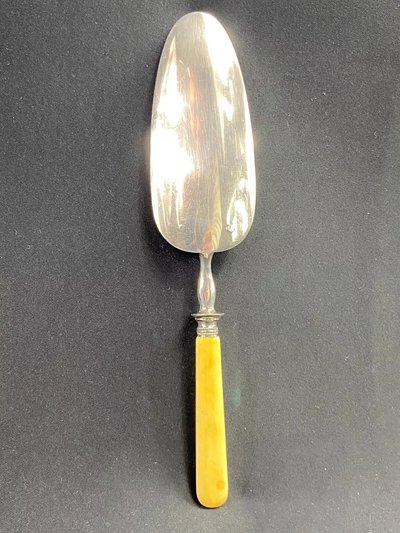 Serving spoon in silver-plated guilloché metal 19th century Napoleon III