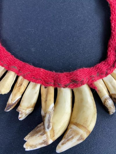 Brustschmuck mit Zahndekor Halskette Asmat Sepik Papua Neuguinea