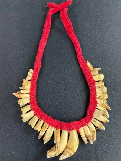 Brustschmuck mit Zahndekor Halskette Asmat Sepik Papua Neuguinea