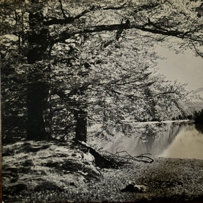 Photo on a wooden panel mountain landscape