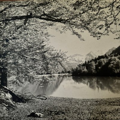 Photo on a wooden panel mountain landscape