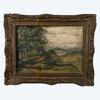 Oil on canvas depicting a forest landscape in the early 20th century, stucco frame