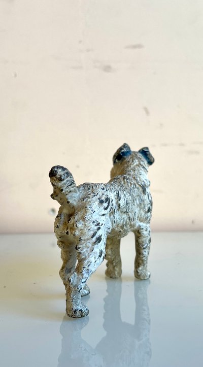 Fox terrier, bronzo viennese policromo, XIX secolo