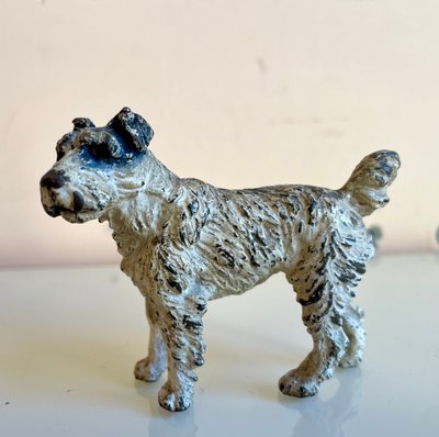 Fox terrier, bronzo viennese policromo, XIX secolo