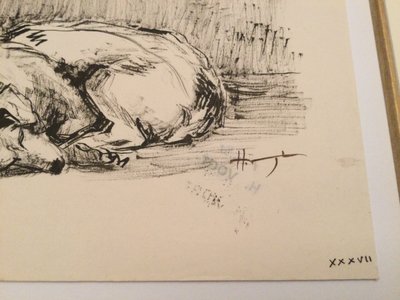 The sleeping dog. Hélène VOGT