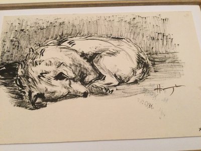 The sleeping dog. Hélène VOGT