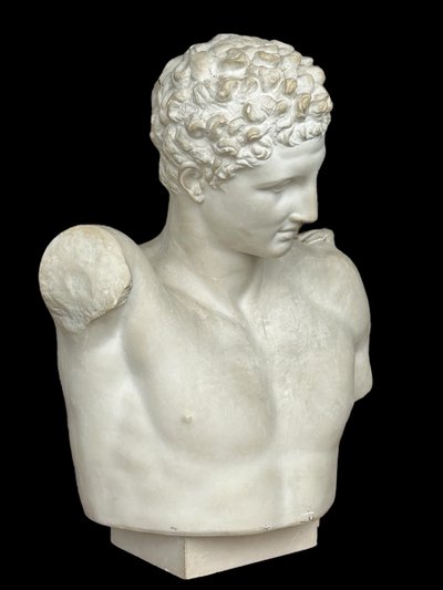 Very Important Antique Bust of Hermes After Praxiteles - Plaster 20th Century H 75 cm