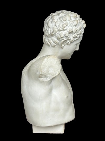 Very Important Antique Bust of Hermes After Praxiteles - Plaster 20th Century H 75 cm