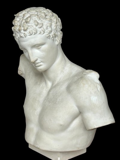 Very Important Antique Bust of Hermes After Praxiteles - Plaster 20th Century H 75 cm