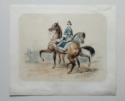 Horses Lithograph By Adam 19th C Old Print