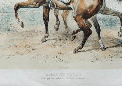 Horses Lithograph By Adam 19th C Old Print