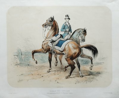 Horses Lithograph By Adam 19th C Old Print