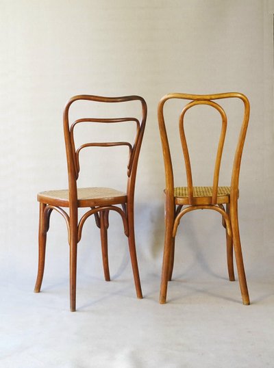 Set of 2 Kohn chairs no. 48a and 248a, Thonet no.