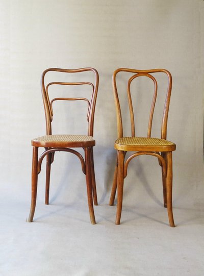 Set of 2 Kohn chairs no. 48a and 248a, Thonet no.