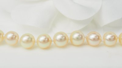 Yellow Gold And Cultured Pearl Bracelet