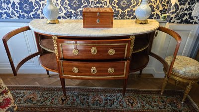 C.mauter, Large Neoclassical Chest Of Drawers With Scientific Attributes